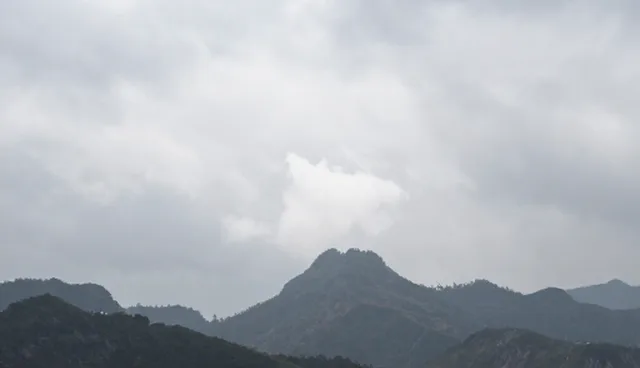 误区澄清：系统化流程并非提升性能的唯一路径